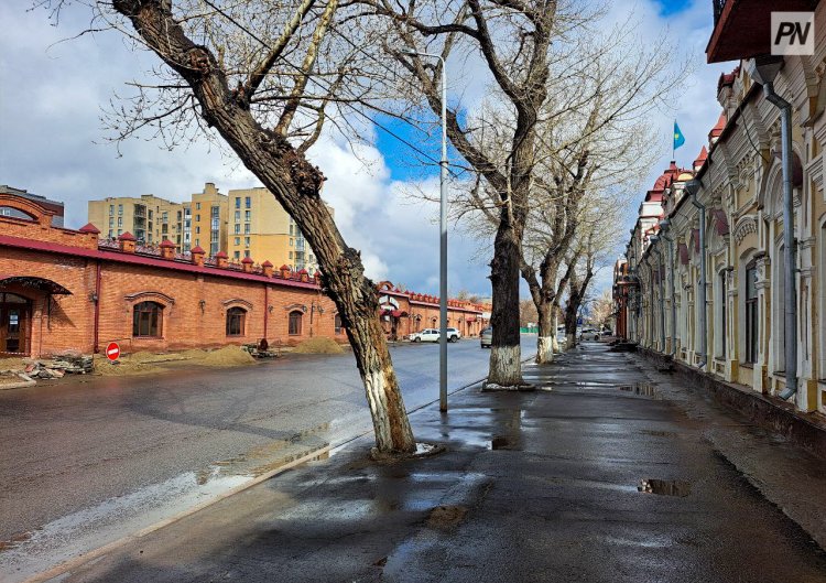 Облачно и без осадков: погода в Павлодарской области 25 апреля