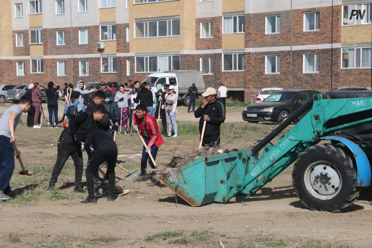 Павлодар облысында 500-ден астам көшет отырғызылмақ