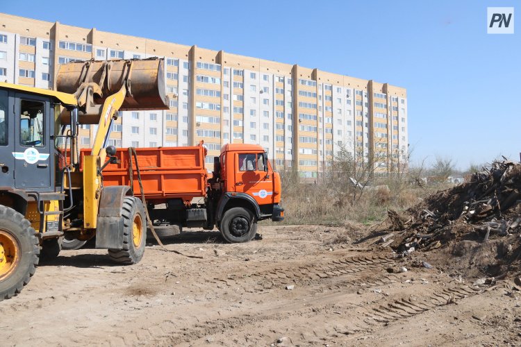 Павлодарцев объединила экологическая акция «Таза қала»