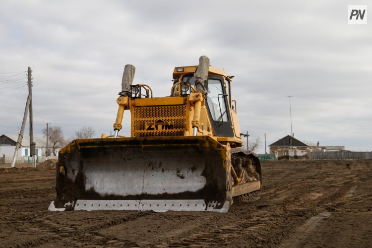 Павлодарец заплатит штраф за выкорчеванное дерево