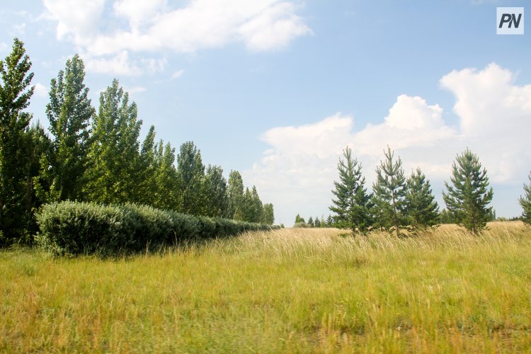 Павлодар облысында инвестор тәлімбақ ашуға ниет білдірді