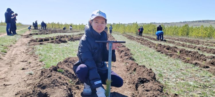 Баянаульский район станет еще зеленее