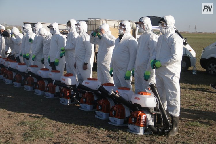 Павлодар облысында 200 мың литрден астам шыбын-шіркейге қарсы биопрепарат дайындалды