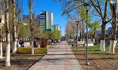 В павлодарском парке установят новые тренажеры