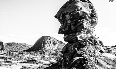 Павлодарцы могут увидеть Баянаул в черно-белых фотографиях