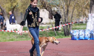 Павлодарская школьница стала самым юным хендлером