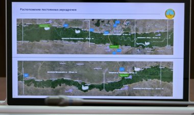 В Павлодарской области проследят за главными комариными «инкубаторами»