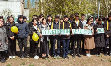 Павлодардағы білім ошақтары ағаш көшеттерін отырғызу челленджін қолдады