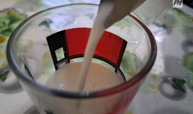 В Павлодаре предложили создать льготные условия для молочного бизнеса