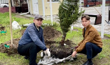 Павлодарлық оқушылар әкелерімен бірге шырша отырғызды