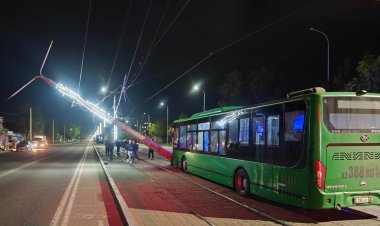 В Павлодаре водитель автобуса врезался в трамвайный столб и погиб