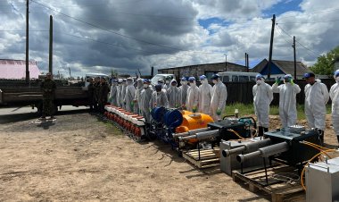 Как в Павлодарской области будут бороться с гнусом в труднодоступных участках