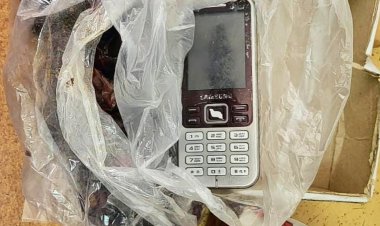 Павлодарлық тұрғын колонияға құрма арасына телефон жасырып, кіргізбек болған