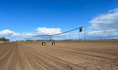 Биыл Павлодар ауданында екі жаңа көкөніс қоймасы салынады