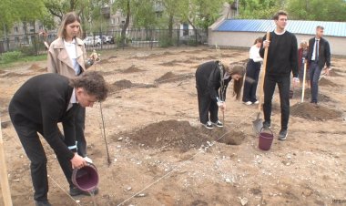 Павлодарлық түлектер мерейтойға орай аллея отырғызды