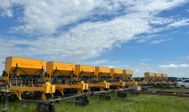 Тереңкөл ауданына алғаш рет қыша мен мақсары отырғызылды