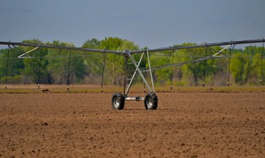 Тереңкөл шаруа қожалығында заманауи агротехнологиялар қолданылуда