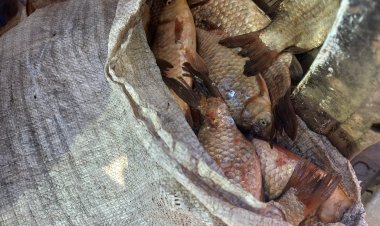 В Павлодарской области задержали рыбаков-браконьеров