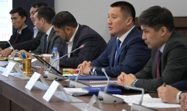 В Павлодарской области поддержат проект по производству ламината