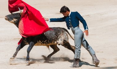 В Колумбии запретили корриду
