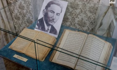 Напоминания о «цвете нации» выставили в павлодарском музее