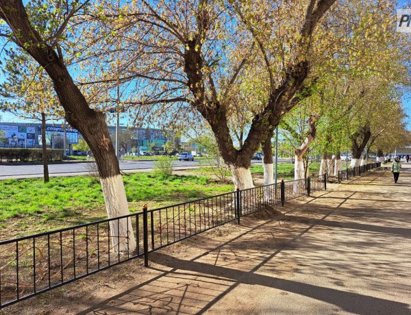 21 сәуірде Павлодар облысында жауын-шашын болмайды