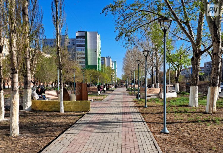 В павлодарском парке установят новые тренажеры