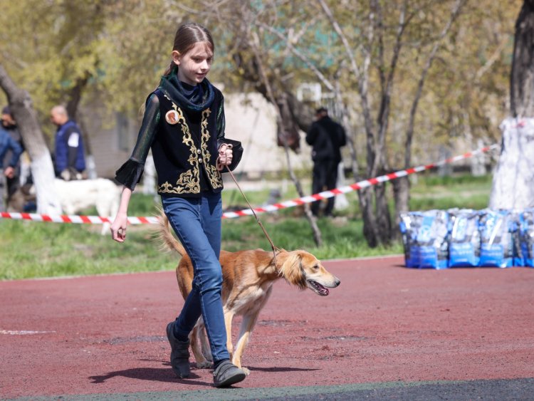 Павлодарская школьница стала самым юным хендлером