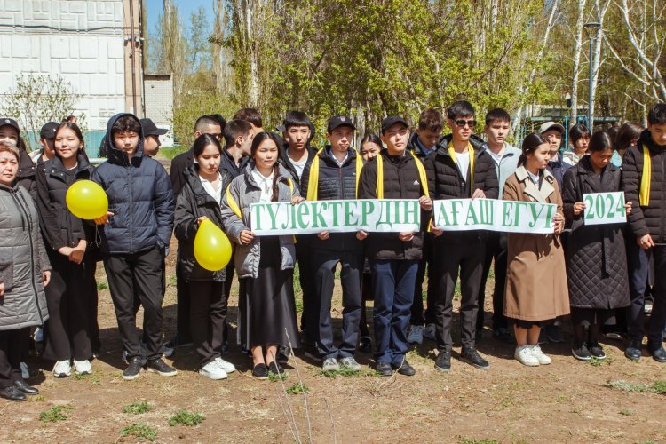Павлодардағы білім ошақтары ағаш көшеттерін отырғызу челленджін қолдады