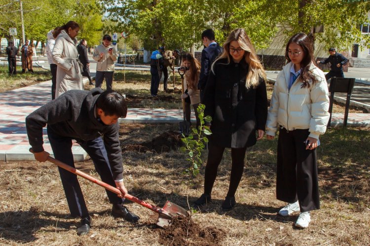 Павлодарская школа поддержала челлендж по высадке деревьев
