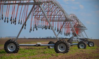 Актогайским аграриям помогла майская погода