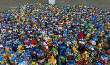 Больше тонны крышек собрали павлодарские школьники