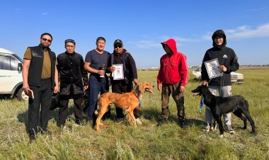 Павлодар облысында жүйрік тазылар анықталды