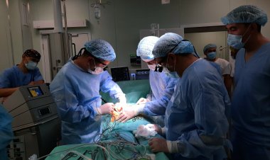 Павлодарцам с больной печенью сократят путь до операционного стола