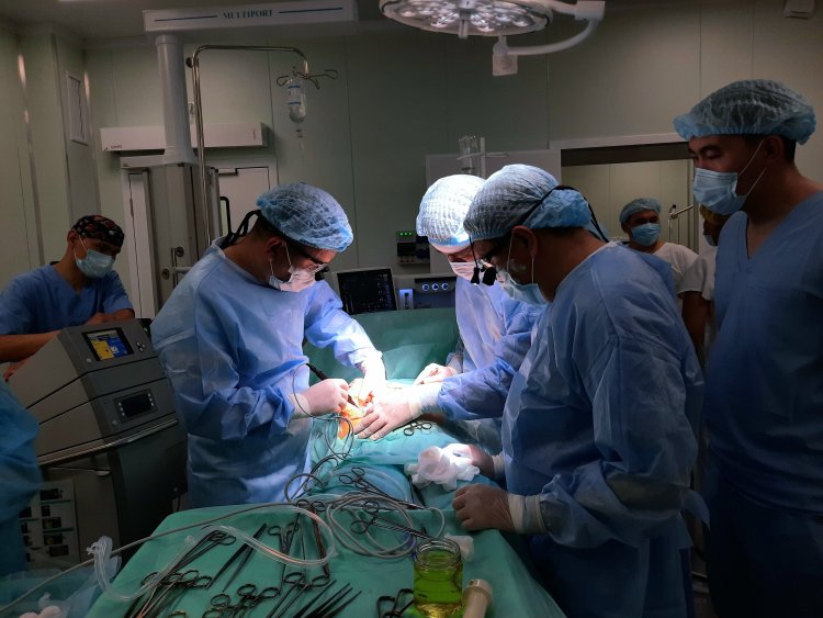 Павлодарцам с больной печенью сократят путь до операционного стола