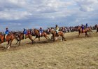 Екібастұзда шабандоздар Қазақстан чемпионатына жолдама үшін жарысады