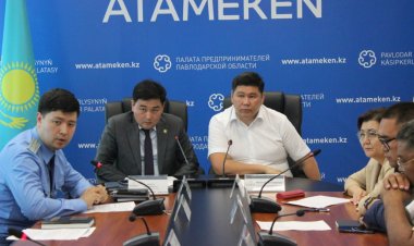 Павлодарские предприниматели пожаловались на волокиту с подключением света и тепла