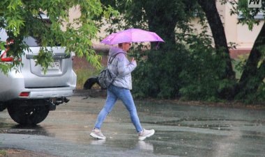 Жұма күні Павлодар облысында жаңбыр, бұршақ жауады