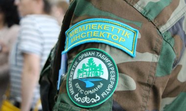 «Ертіс орманында» кадр тапшылығы орын алуда
