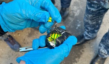 Есірткі қоймаларын жабдықтаған: Павлодарда курьер-қаптамашы ұсталды