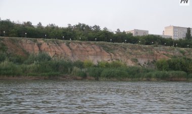 План из четырёх пунктов: как предложили спасти Гусиный перелёт