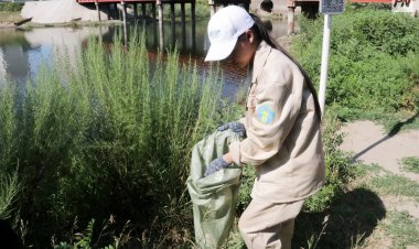 Более тысячи заявок поступило от желающих вступить в «Жасыл ел» павлодарцев