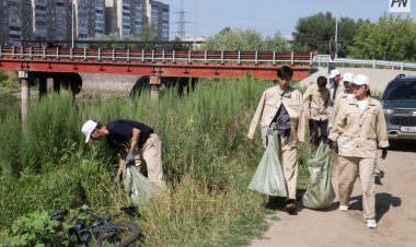 Павлодарлықтардан «Жасыл ел» еңбек жасағына қосылуға мыңнан аса өтінім түсті