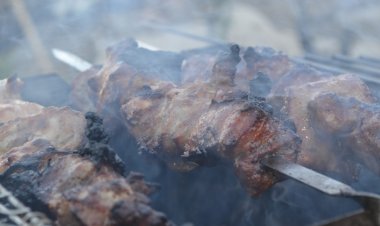 Жительница Павлодара пожаловалась на работу шашлычных