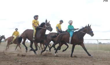 Павлодарда қала күніне орай өткен бәйгеде үздіктер анықталды