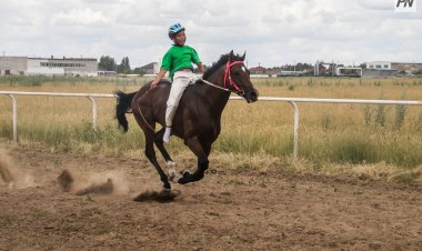 Павлодар ауданында ұлттық спорт ұлықталған ат жарысы өтті