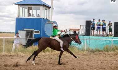 Жокей из Галицкого выиграл главный приз скачек в Павлодаре