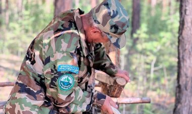 Ертіс орманында жабайы жануарларға қысқы азық дайындауда