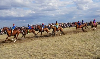 В Павлодаре разыграют миллионы тенге на чемпионате Казахстана по байге