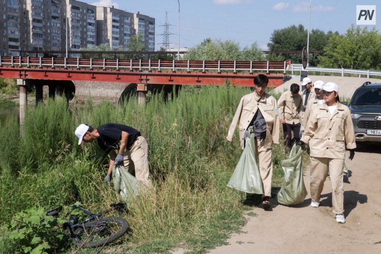 Павлодарлықтардан «Жасыл ел» еңбек жасағына қосылуға мыңнан аса өтінім түсті